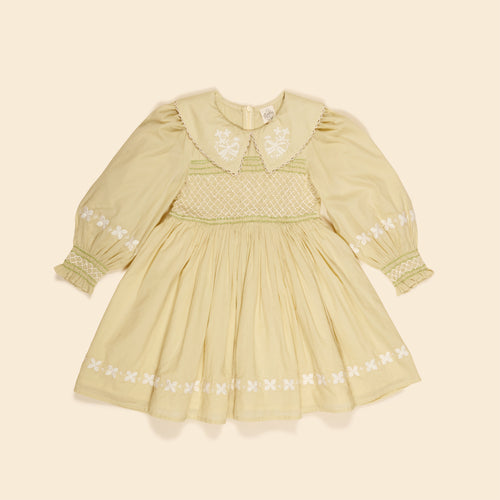 CAREY DRESS | LICHEN