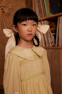 CAREY DRESS | LICHEN
